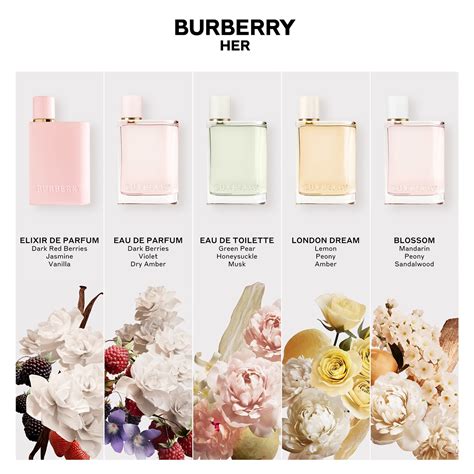 Burberry Her scent notes